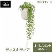 �ե��������꡼�� ���տ�ʪ �͹����տ�ʪ ¤�� ��� ���꡼�� �ե����� �ǥ������ǥ��� ���٥ꥹ�ݥå� S H20cm �ơ��֥륰�꡼�� ��ʪ PRGR-1652 GREENPARK ����̵�� 