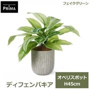 �ե��������꡼�� ���տ�ʪ �͹����տ�ʪ ¤�� ��� ���꡼�� �ե����� �ǥ��ե���Х��� ���٥ꥹ�ݥå� M H45cm �ơ��֥륰�꡼�� ��ʪ PRGR-1649 GREENPARK ����̵�� 