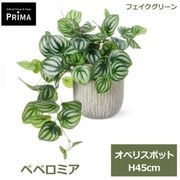 �ե��������꡼�� ���տ�ʪ �͹����տ�ʪ ¤�� ��� �ڥڥ��ߥ� ���٥ꥹ�ݥå� M H45cm ��ʪ �ơ��֥륰�꡼�� ���꡼�� PRGR-1651 ���꡼��ѡ��� GREENPARK ����̵�� 