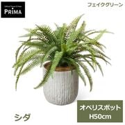 �ե��������꡼�� ���տ�ʪ �͹����տ�ʪ ¤�� ��� ���� ���٥ꥹ�ݥå� M H50cm ��ʪ �ơ��֥륰�꡼��ե����� ���꡼�� PRGR-1755 ���꡼��ѡ��� GREENPARK ����̵�� 