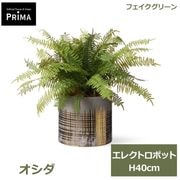 �ե��������꡼�� ���տ�ʪ �͹����տ�ʪ ¤�� ��� ������ ���쥯�ȥ��ݥå�M ��ʪ �ơ��֥륰�꡼�� �ե����� ���꡼�� PRGR-1696 ���꡼��ѡ��� GREENPARK ����̵�� 