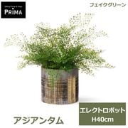 �ե��������꡼�� ���տ�ʪ �͹����տ�ʪ ¤�� ��� �������󥿥� ���쥯�ȥ��ݥå�M ��ʪ �ơ��֥륰�꡼�� �ե����� ���꡼�� ����� PRGR-1698 GREENPARK ����̵�� 