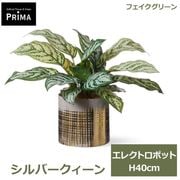 �ե��������꡼�� ���տ�ʪ �͹����տ�ʪ ¤�� ��� ����С��������� ���쥯�ȥ��ݥå�M ��ʪ �ơ��֥륰�꡼�� �ե����� ���꡼�� ����� PRGR-1700 GREENPARK ����̵�� 