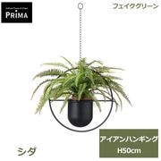 �ե��������꡼�� ���տ�ʪ �͹����տ�ʪ ¤�� ���� �������� �ϥ󥮥� 68cm ��ʪ ����󥸥��� �ϥ󥮥󥰥��꡼�� �ե����� ���꡼�� PRGR-1763 GREENPARK ����̵�� 