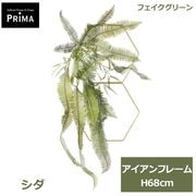 �ե��������꡼�� ���տ�ʪ �͹����տ�ʪ ¤�� ���� �إ������� H68cm ��ʪ ����󥸥��� ���� �������륰�꡼�� ϻ�� �ե����� ���꡼�� PRGR-1756 GREENPARK ����̵�� 