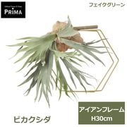 �ե��������꡼�� ���տ�ʪ �͹����տ�ʪ ¤�� �ӥ������� �إ������� ��ʪ ����󥸥��� ���� �������륰�꡼�� ϻ�� �ե����� ���꡼�� PRGR-1757 GREENPARK ����̵�� 