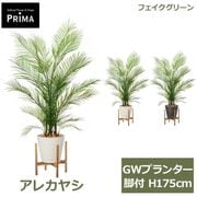 �ե��������꡼�� ���տ�ʪ �͹����տ�ʪ ¤�� ���쥫�䥷 GW �ץ�󥿡� ���� H175cm ��ʪ �緿 ���åɥ������ ��� �ե����� ���꡼�� PRGR-1285 GREENPARK ����̵�� 