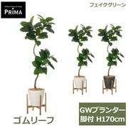 �ե��������꡼�� ���տ�ʪ �͹����տ�ʪ ¤�� ����꡼�� ������� GW�ץ�󥿡� ���� 170cm ��ʪ �緿 ���åɥ������ �ե����� ���꡼�� PRGR-1616 GREENPARK ����̵�� 