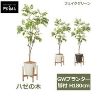 �ե��������꡼�� ���տ�ʪ �͹����տ�ʪ ¤�� �ϥ����� �ϥ� GW �ץ�󥿡� ���� H180cm ��ʪ �緿 ���åɥ������ ����� �̲� �ե����� PRGR-1745 GREENPARK ����̵�� 