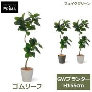 �ե��������꡼�� ���տ�ʪ �͹����տ�ʪ ¤�� ����꡼�� ������� GW �ץ�󥿡� H155cm ��ʪ �緿 ȭ�դ� �礭���� ���꡼�� �ե����� PRGR-1616 GREENPARK ����̵�� 