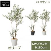 �ե��������꡼�� ���տ�ʪ �͹����տ�ʪ ¤�� ���꡼�� GW �ץ�󥿡� H180cm ��ʪ �緿 ȭ�դ� ����С����꡼�� ���꡼�� �ե����� PRGR-1715 GREENPARK ����̵�� 