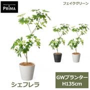�ե��������꡼�� ���տ�ʪ �͹����տ�ʪ ¤�� �����ե�� GW �ץ�󥿡� H135cm ��ʪ �緿 ȭ�դ� ���� �̲� ����� ���꡼�� �ե����� PRGR-1736 GREENPARK ����̵�� 