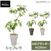 �ե��������꡼�� ���տ�ʪ �͹����տ�ʪ ¤�� �����ե�� GW �ץ�󥿡� H135cm ��ʪ �緿 ȭ�դ� ���� �̲� ����� ���꡼�� �ե����� PRGR-1736 GREENPARK ����̵�� 