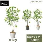 �ե��������꡼�� ���տ�ʪ �͹����տ�ʪ ¤�� �ѥ��� ȯ��� money tree GW�ץ�󥿡� H160cm ��ʪ �緿 ȭ�դ� �ﵯʪ ���꡼�� �ե����� PRGR-1741 GREENPARK ����̵�� 