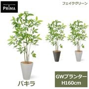 �ե��������꡼�� ���տ�ʪ �͹����տ�ʪ ¤�� �ѥ��� ȯ��� money tree GW�ץ�󥿡� H160cm ��ʪ �緿 ȭ�դ� �ﵯʪ ���꡼�� �ե����� PRGR-1741 GREENPARK ����̵�� 