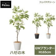 �ե��������꡼�� ���տ�ʪ �͹����տ�ʪ ¤�� �ϥ����� GW �ץ�󥿡� H165cm ��ʪ �緿 ȭ�դ� ����ƥꥢ �̲� �� ���꡼�� �ե����� PRGR-1745 GREENPARK ����̵�� 