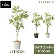 �ե��������꡼�� ���տ�ʪ �͹����տ�ʪ ¤�� �ϥ����� GW �ץ�󥿡� H160cm ��ʪ �緿 ȭ�դ� ����ƥꥢ �̲� �� ���꡼�� �ե����� PRGR-1745 GREENPARK ����̵�� 
