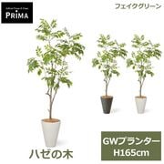 �ե��������꡼�� ���տ�ʪ �͹����տ�ʪ ¤�� �ϥ����� GW �ץ�󥿡� H165cm ��ʪ �緿 ȭ�դ� ����ƥꥢ �̲� �� ���꡼�� �ե����� PRGR-1745 GREENPARK ����̵�� 