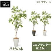 �ե��������꡼�� ���տ�ʪ �͹����տ�ʪ ¤�� �ϥ����� GW �ץ�󥿡� H160cm ��ʪ �緿 ȭ�դ� ����ƥꥢ �̲� �� ���꡼�� �ե����� PRGR-1745 GREENPARK ����̵�� 