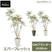 �ե��������꡼�� ���տ�ʪ �͹����տ�ʪ ¤�� ���С��ե�å��� GW �ץ�󥿡� H170cm ��ʪ �緿 ȭ�դ� ����ƥꥢ �� ���꡼�� �ե����� PRGR-1764 GREENPARK ����̵�� 