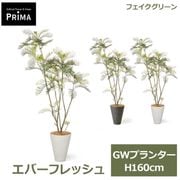 �ե��������꡼�� ���տ�ʪ �͹����տ�ʪ ¤�� ���С��ե�å��� GW �ץ�󥿡� H160cm ��ʪ �緿 ȭ�դ� ����ƥꥢ �� ���꡼�� �ե����� PRGR-1764 GREENPARK ����̵�� 