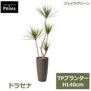 �ե��������꡼�� ���տ�ʪ �͹����տ�ʪ ¤�� �ɥ饻�� ���󥷥�� TP �ץ�󥿡� H140cm ��ʪ �緿 ȭ�դ� ����ƥꥢ ���꡼�� �ե����� PRGR-1724 GREENPARK ����̵�� 