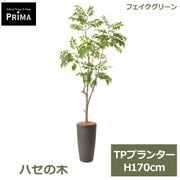 �ե��������꡼�� ���տ�ʪ �͹����տ�ʪ ¤�� �ϥ����� TP�ץ�󥿡� H170cm ��ʪ �緿 ȭ�դ� �¥���� �̲� ���꡼�� �ե����� PRGR-1746 GREENPARK ����̵�� 