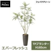 �ե��������꡼�� ���տ�ʪ �͹����տ�ʪ ¤�� ���С��ե�å��� TP �ץ�󥿡� H185cm ��ʪ �緿 ȭ�դ� �¥���� �̲� ���꡼�� �ե����� PRGR-1765 GREENPARK ����̵�� 