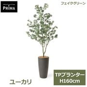 �ե��������꡼�� ���տ�ʪ �͹����տ�ʪ ¤�� �桼���� �ݥݥ饹 TP �ץ�󥿡� H160cm ��ʪ �緿 ȭ�դ� ����� �̲� ���꡼�� �ե����� PRGR-1767 GREENPARK ����̵�� 