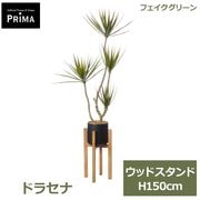 �ե��������꡼�� ���տ�ʪ �͹����տ�ʪ ¤�� �ɥ饻�� ���󥷥�� ���å� ������� H150cm ��ʪ �緿 ȭ�դ� ���� ���꡼�� �ե����� PRGR-1723 GREENPARK ����̵�� 