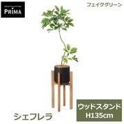 �ե��������꡼�� ���տ�ʪ �͹����տ�ʪ ¤�� �����ե�� ���å� ������� H135cm ��ʪ �緿 ȭ�դ� ���� ����� �̲� ���꡼�� �ե����� PRGR-1734 GREENPARK ����̵�� 
