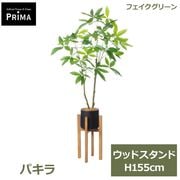�ե��������꡼�� ���տ�ʪ �͹����տ�ʪ ¤�� �ѥ��� ȯ��� money tree ���åɥ������ H155cm ��ʪ �緿 ȭ�դ� ���� ���꡼�� �ե����� PRGR-1739 GREENPARK ����̵�� 