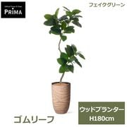 �ե��������꡼�� ���տ�ʪ �͹����տ�ʪ ¤�� ����꡼�� ������� ���å� �ץ�󥿡� H180cm ��ʪ �緿 ȭ�դ� �쥸�� ���꡼�� �ե����� PRGR-1674 GREENPARK ����̵�� 