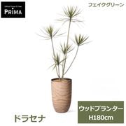�ե��������꡼�� ���տ�ʪ �͹����տ�ʪ ¤�� �ɥ饻�� ���󥷥�� ���åɥץ�󥿡� H180cm ��ʪ �緿 ȭ�դ� ���꡼�� ����� �ե����� PRGR-1731 GREENPARK ����̵�� 