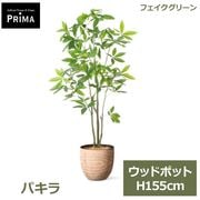 �ե��������꡼�� ���տ�ʪ �͹����տ�ʪ ¤�� �ѥ��� ȯ��� money tree ���åɥݥå� H155cm ��ʪ �緿 ȭ�դ� �ץ�󥿡��դ� �ե����� PRGR-1743 GREENPARK ����̵�� 