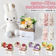 ����� ���å� ¤�� �� �ߥåե��� �̤������ 23cm �����ǥ���� ��« ��ʪ �İ��� �Ϥ�ʤ� �֥ꥶ���� �ե� ����ܥ� ������ �и� ��� �Х� �� ����� ������ ����̵�� 