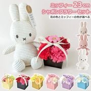 ����� ���å� ¤�� �� �ߥåե��� �̤������ 23cm �����ǥ���� ��« ��ʪ �İ��� �Ϥ�ʤ� �֥ꥶ���� �ե� ����ܥ� ������ �и� ��� �Х� �� ����� ������ ����̵�� 