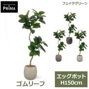 �ե��������꡼�� ���տ�ʪ �͹����տ�ʪ ����꡼�� ������� ���å��ݥå� H150cm ��ʪ �緿 ȭ�դ� �ץ�󥿡��դ� ���꡼�� �ե����� PRGR-1617 GREENPARK ����̵�� 