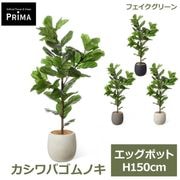 �ե��������꡼�� ���տ�ʪ �͹����տ�ʪ ������Х���Υ� ��������� ���å��ݥå� H150cm ��ʪ �緿 ȭ�դ� �ץ�󥿡��դ� �ե����� PRGR-1712 GREENPARK ����̵�� 