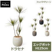 �ե��������꡼�� ���տ�ʪ �͹����տ�ʪ �ɥ饻�� ���󥷥�� ���å��ݥå� H125cm ��ʪ �緿 ȭ�դ� �ץ�󥿡��դ� ���꡼�� �ե����� PRGR-1725 GREENPARK ����̵�� 