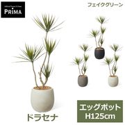 �ե��������꡼�� ���տ�ʪ �͹����տ�ʪ �ɥ饻�� ���󥷥�� ���å��ݥå� H125cm ��ʪ �緿 ȭ�դ� �ץ�󥿡��դ� ���꡼�� �ե����� PRGR-1725 GREENPARK ����̵�� 
