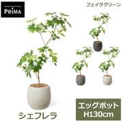 �ե��������꡼�� ���տ�ʪ �͹����տ�ʪ �����ե�� M ���å��ݥå� H130cm ��ʪ �緿 ȭ�դ� �ץ�󥿡��դ� ���꡼�� �ե����� �͵� PRGR-1737 GREENPARK ����̵�� 