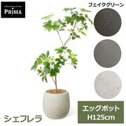 �ե��������꡼�� ���տ�ʪ �͹����տ�ʪ �����ե�� M ���å��ݥå� H125cm ��ʪ �緿 ȭ�դ� �ץ�󥿡��դ� ���꡼�� �ե����� �͵� PRGR-1737 GREENPARK ����̵�� 