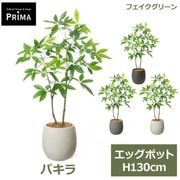 �ե��������꡼�� ���տ�ʪ �͹����տ�ʪ �ѥ��� ȯ��� oney tree ���å��ݥå� H130cm ��ʪ �緿 ȭ�դ� �ץ�󥿡��� ���꡼�� �ե����� PRGR-1740 GREENPARK ����̵�� 