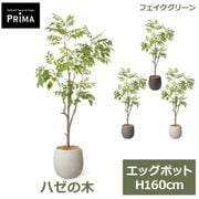 �ե��������꡼�� ���տ�ʪ �͹����տ�ʪ �ϥ����� ���å��ݥå� H160cm ��ʪ �緿 ȭ�դ� �ץ�󥿡��դ� ����ƥꥢ ���꡼�� �ե����� PRGR-1747 GREENPARK ����̵�� 