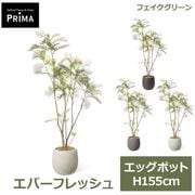 �ե��������꡼�� ���տ�ʪ �͹����տ�ʪ ���С��ե�å��� ���å��ݥå� H155cm ��ʪ �緿 ȭ�դ� �ץ�󥿡��դ� ���꡼�� �ե����� �� PRGR-1766 GREENPARK ����̵�� 