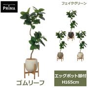 �ե��������꡼�� ���տ�ʪ �͹����տ�ʪ ����꡼�� ������� ���å��ݥåȵ��� H165cm ��ʪ �緿 ȭ�դ� �ץ�󥿡��� ���꡼�� �ե����� PRGR-1617 GREENPARK ����̵�� 