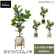 �ե��������꡼�� ���տ�ʪ �͹����տ�ʪ ������Х���Υ� ���å��ݥåȵ��� H165cm ��ʪ �緿 ȭ�դ� �ץ�󥿡��դ� ���꡼�� �ե����� PRGR-1712 GREENPARK ����̵�� 