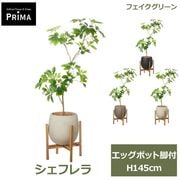 �ե��������꡼�� ���տ�ʪ �͹����տ�ʪ �����ե��M ���å��ݥåȵ��� H145cm ��ʪ �緿 ȭ�դ� �ץ�󥿡��դ� ���꡼�� �ե����� �̲� PRGR-1737 GREENPARK ����̵�� 