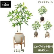 �ե��������꡼�� ���տ�ʪ �͹����տ�ʪ �ѥ��� ȯ��� money tree ���å��ݥåȵ��� H145cm ��ʪ �緿 ȭ�դ� �ץ�󥿡��դ� �ե����� PRGR-1740 GREENPARK ����̵�� 